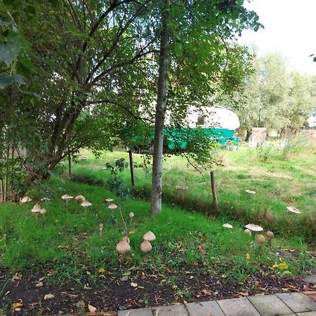Bij Grenspaal 243 Essen Dış mekan fotoğraf